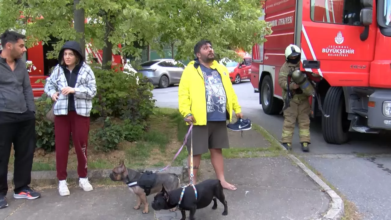 Engelli köpeğini kurtaramayan ev sahibinin acısı yürekleri dağladı! 3