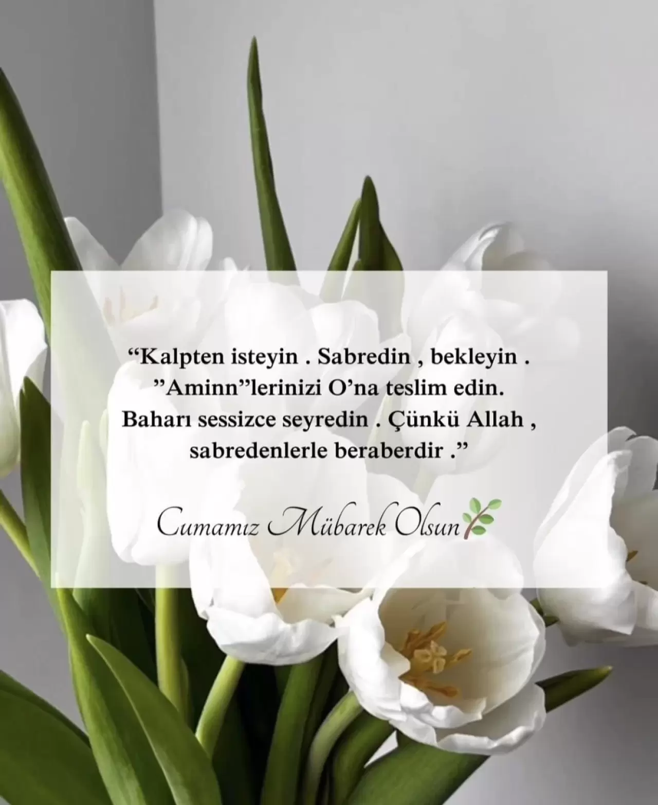 3 Nisan 2026 Cuma akşamı mesajları! En güzel, anlamlı, dualı ve resimli cuma sözleri ve mesajları! 6