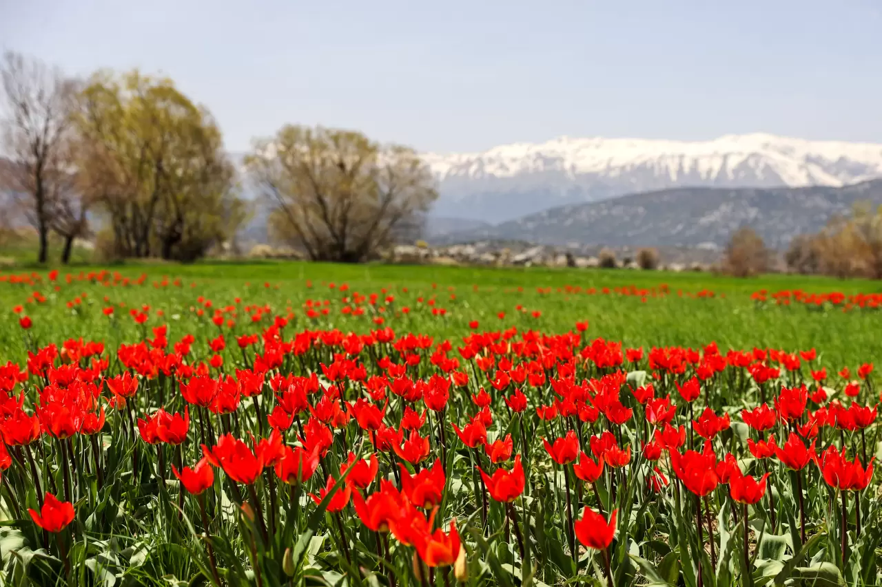 Kış ve bahar bir arada: Beyşehir Gölü manzarasıyla hayran bıraktı 6
