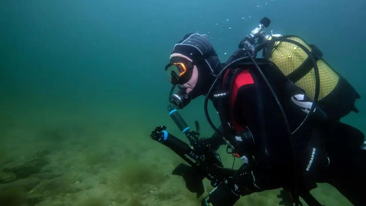 Tuzla sahilinde bilim dünyasını heyecanlandıran keşif! Sanayinin gölgesinde 'mucize' ekosistem 9