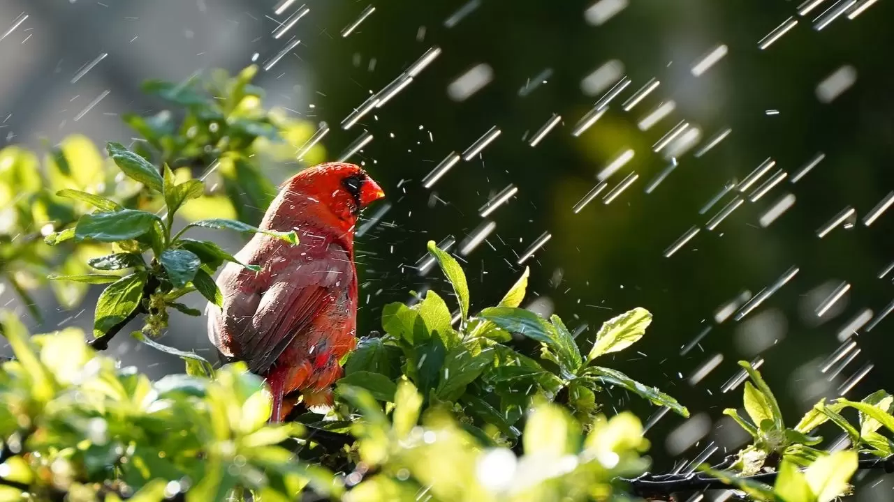 Hava durumu bir anda değişiyor! Meteoroloji’den o iller için sağanak ve gök gürültüsü uyarısı 7