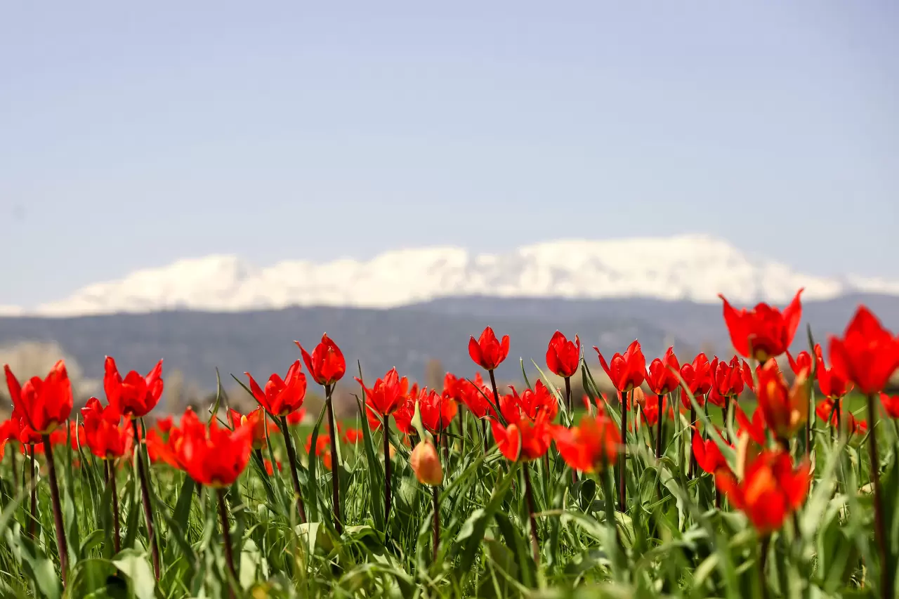 Kış ve bahar bir arada: Beyşehir Gölü manzarasıyla hayran bıraktı 7
