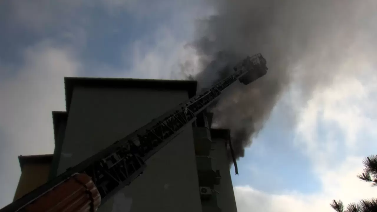 Engelli köpeğini kurtaramayan ev sahibinin acısı yürekleri dağladı! 6