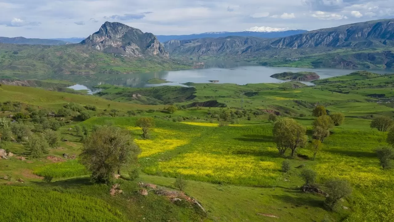 Şebinkarahisar’da ilkbaharın sarı ve yeşil tonları doğayı renklendirdi 4