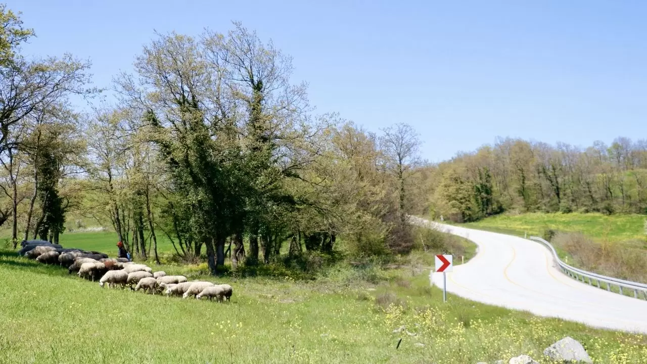 Kocaeli'de masalsı yolculuk! Eski İstanbul Yolu çiçek açtı: Şehrin gürültüsünden kaçmak isteyenlerin yeni gözdesi! 2