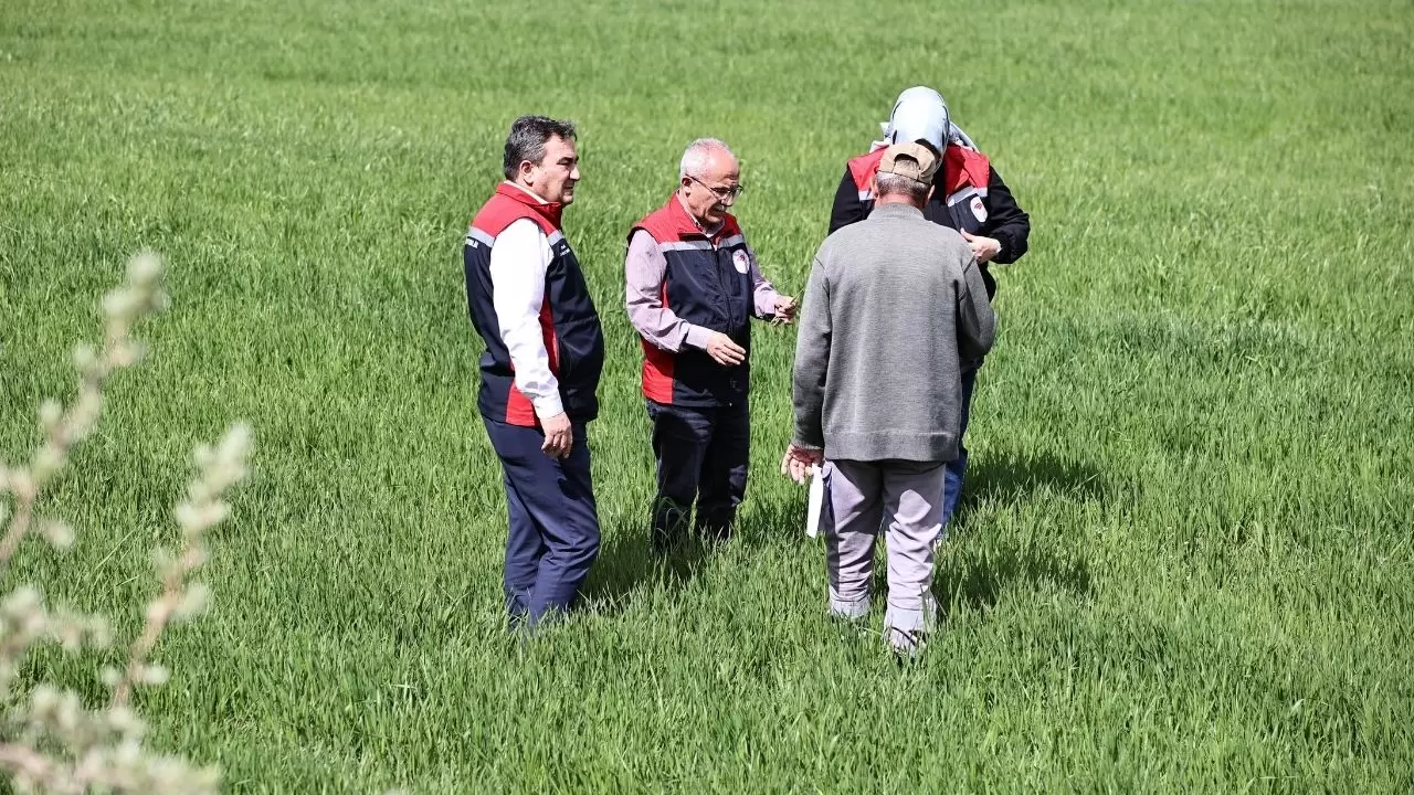 Verim yüzde 50 düşebilir, hemen tarlaya gidin! 1
