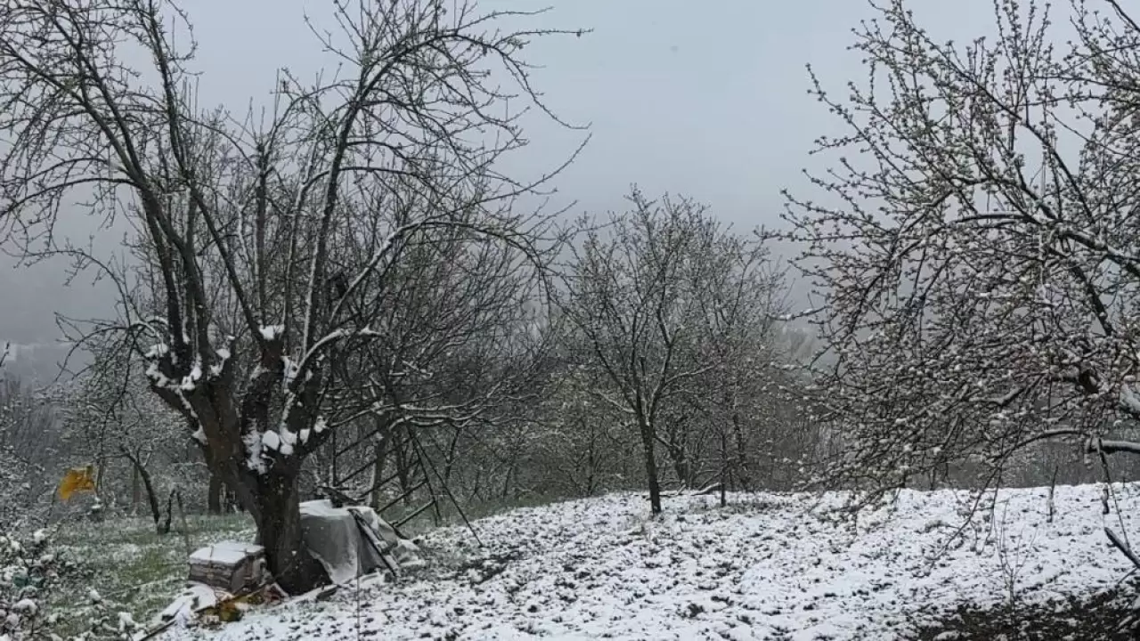 Mayıs ayında kar sürprizi! 1