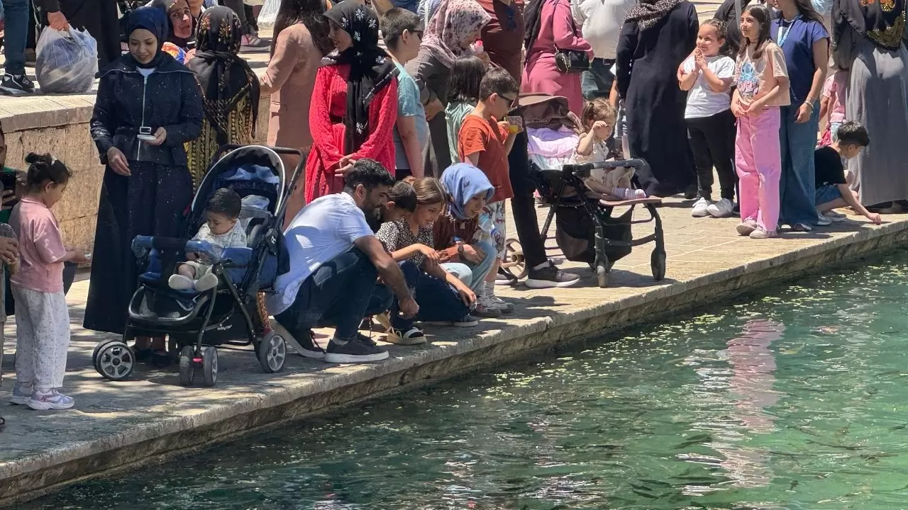 Doğal Akvaryumda iğne atsan yere düşmüyor! 3