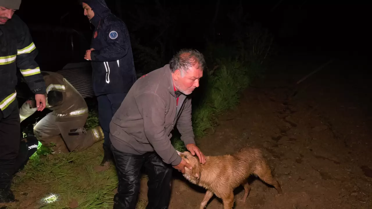 Mahsur kalan vatandaş ve köpeği itfaiye ekiplerince böyle kurtarıldı! 4