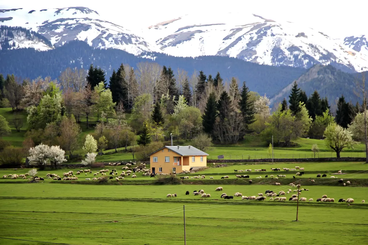 Karadeniz’in saklı cennetinde ilkbahar büyüsü! 4