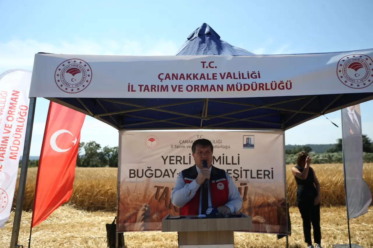 Tarımda yerli tohum hamlesi: 22 hububat çeşidi üreticiye tanıtıldı 4