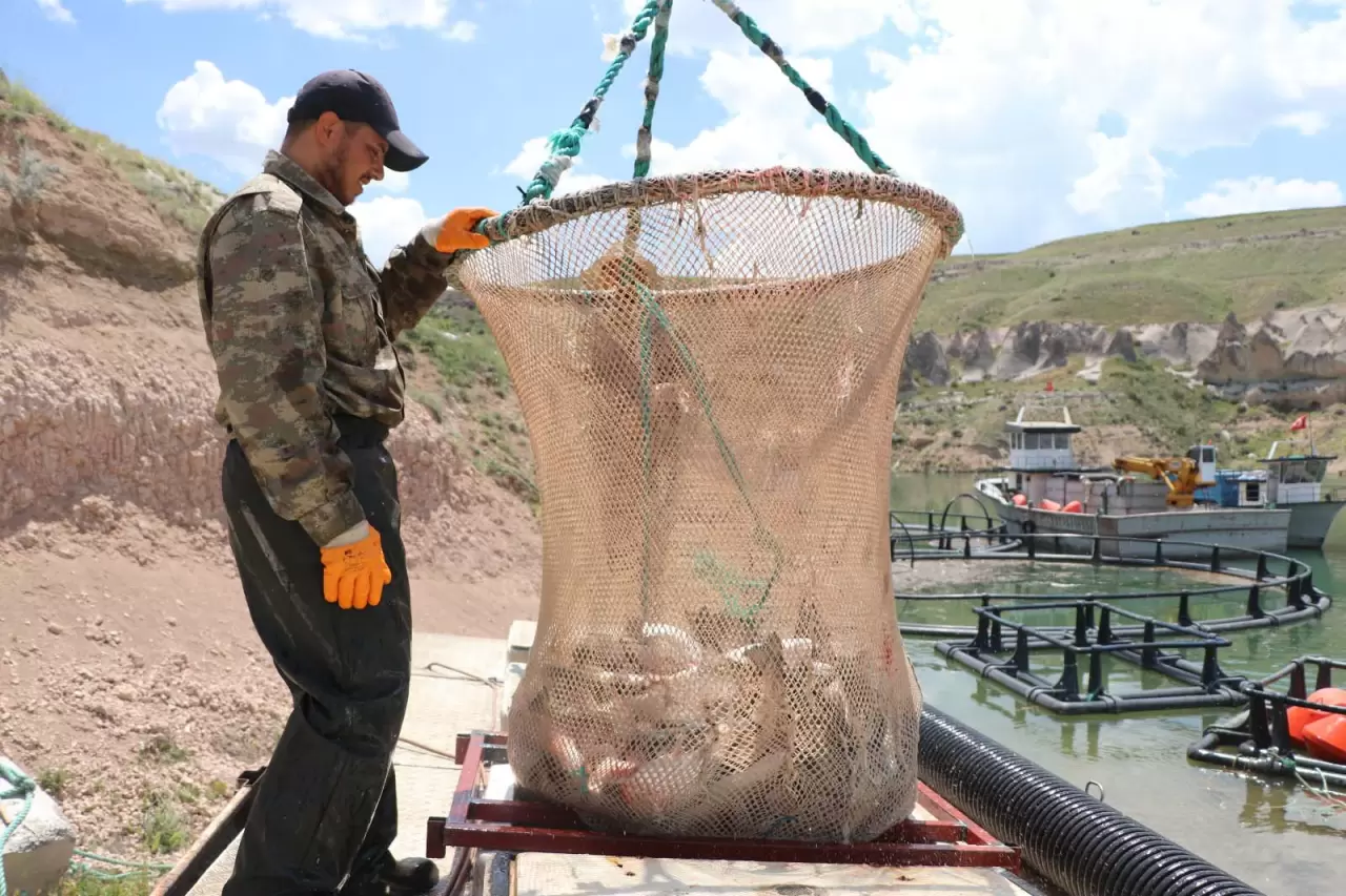 Denizi olmayan Kayseri'den dünya sofralarına: Türk somonu ihracat rekoru kırıyor! 8