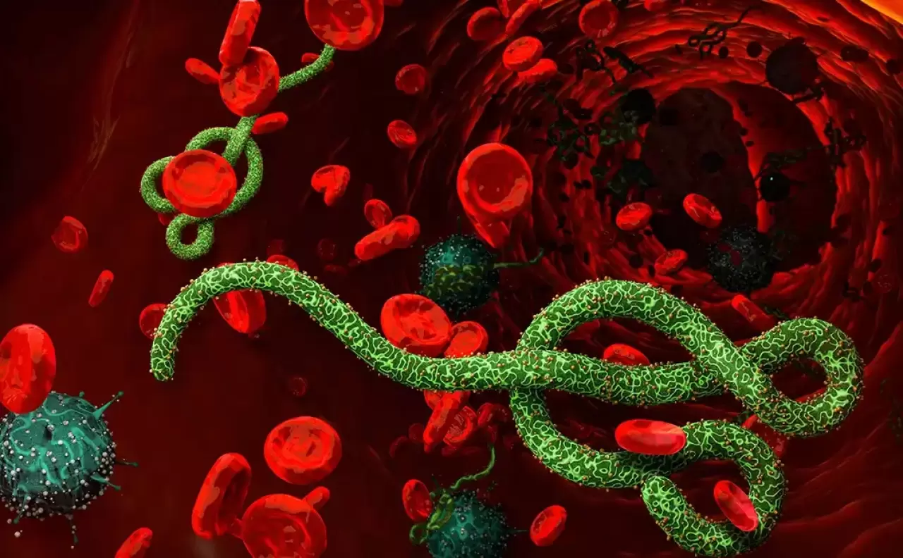İsrail’de ilk kez Ebola alarmı! Aşısı ve tedavisi olmayan varyant kapıda! 4