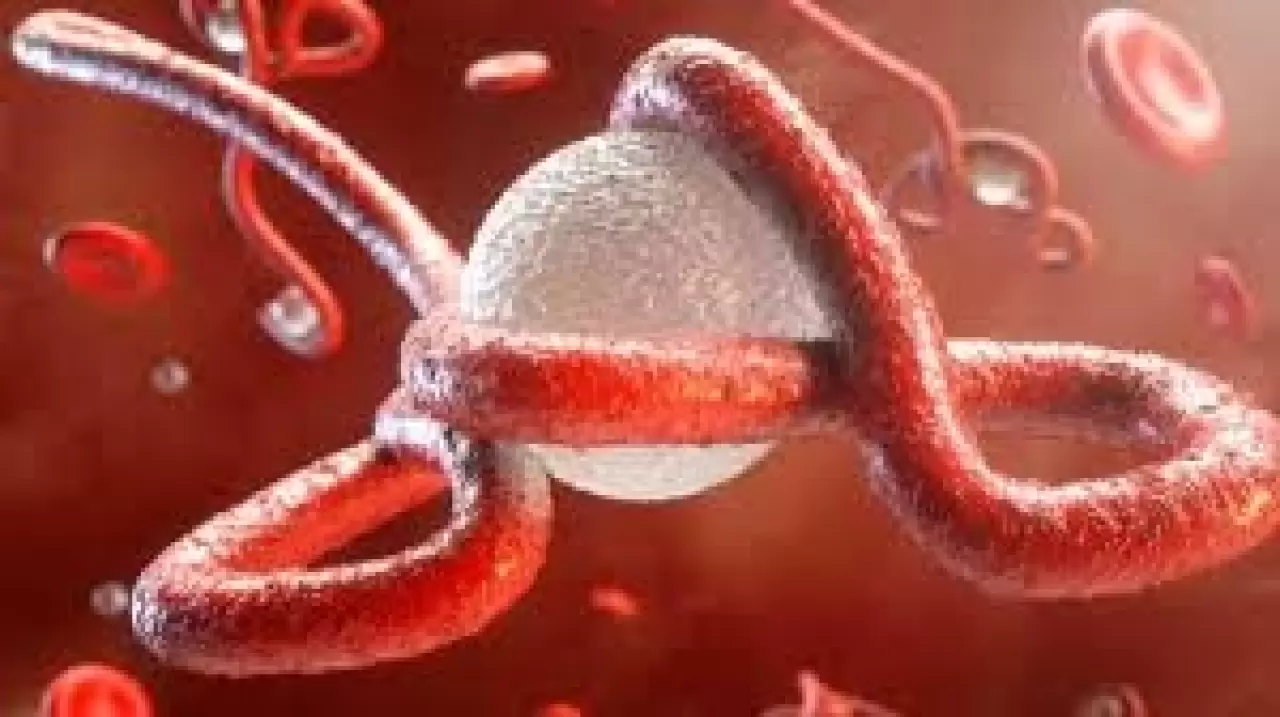 İsrail’de ilk kez Ebola alarmı! Aşısı ve tedavisi olmayan varyant kapıda! 5