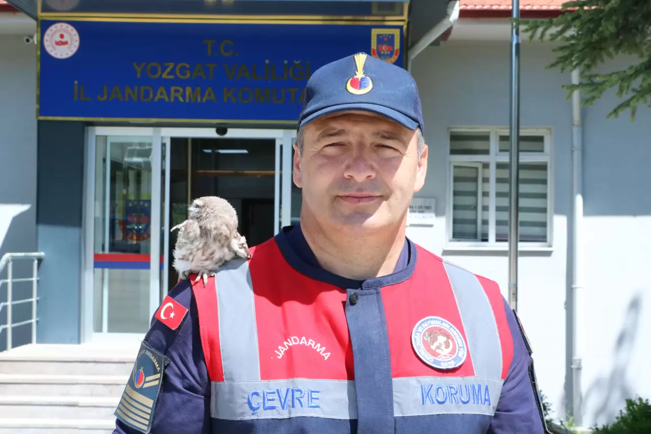 Yozgat’ta yürek ısıtan anlar: Cezaevi çatısından düşen baykuş kurtarıldı 4