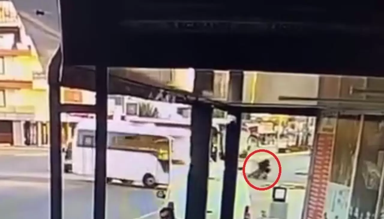 Okula götürdüğü kızını kazada kaybetmişti 2