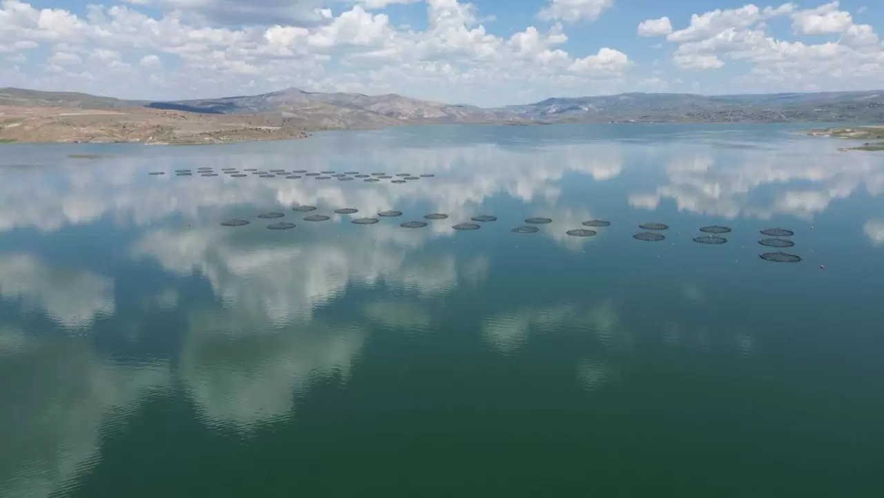 Denizi olmayan Kayseri'den dünya sofralarına: Türk somonu ihracat rekoru kırıyor! 9