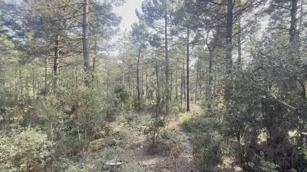 Kağıthane'deki vahşette kan donduran itiraf 13