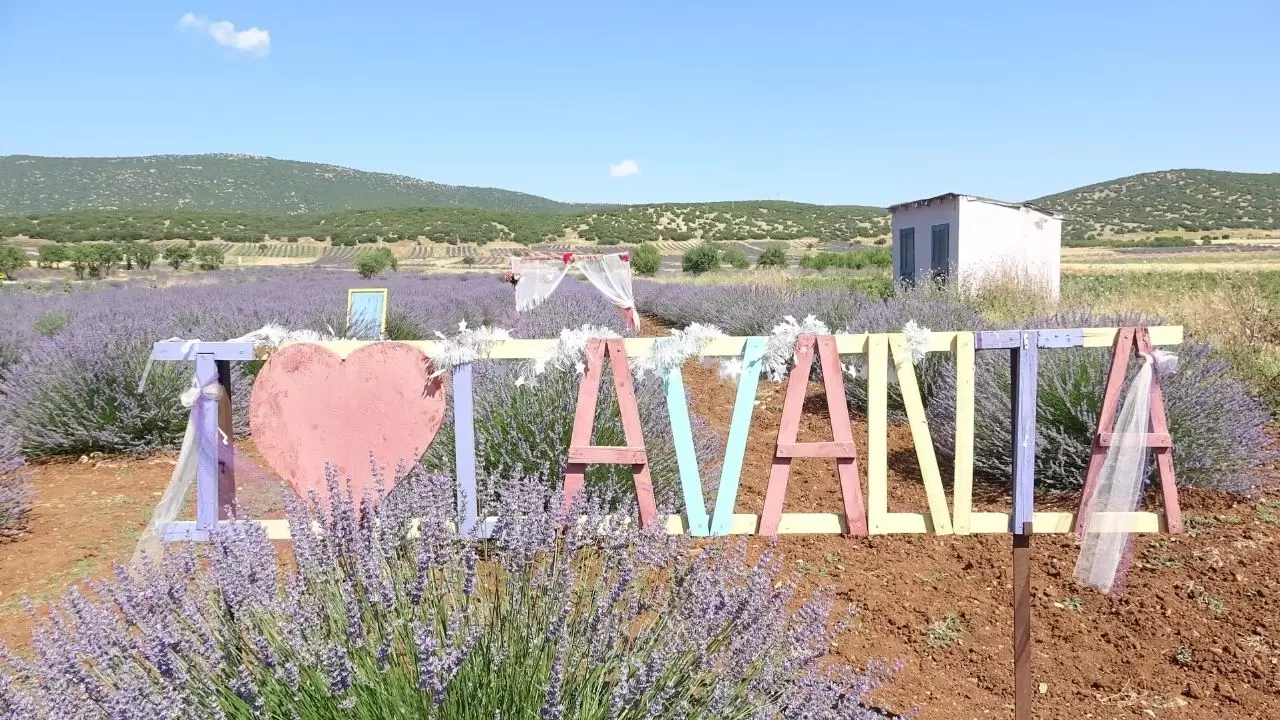 Isparta'nın mor cenneti Kuyucak, yerli ve yabancı turistleri ağırlıyor 2