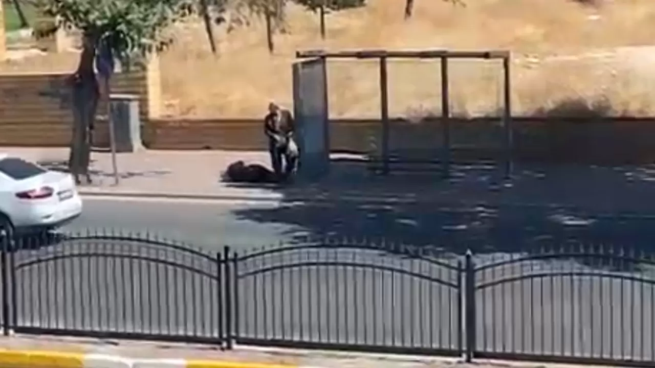 Şanlıurfa'da otobüs durağında dehşet: Boşanma aşamasındaki eşini vurdu! 1