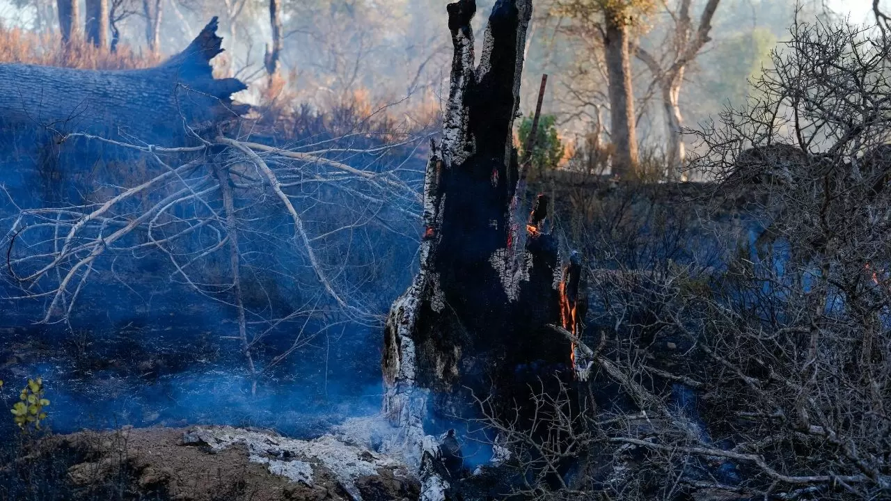 California'da 'Mines Fire' alarmı! 10