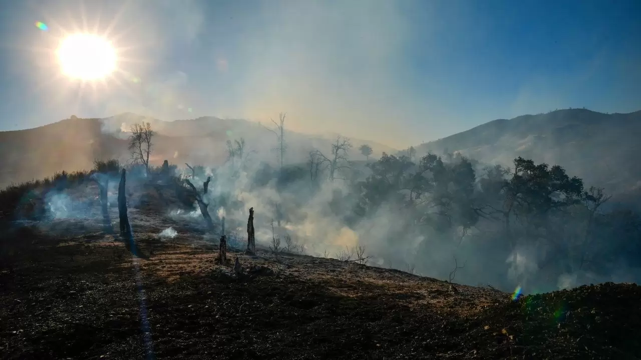 California'da 'Mines Fire' alarmı! 20