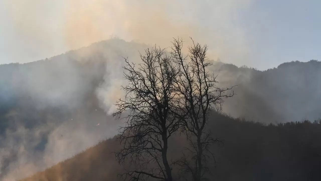 California'da 'Mines Fire' alarmı! 17