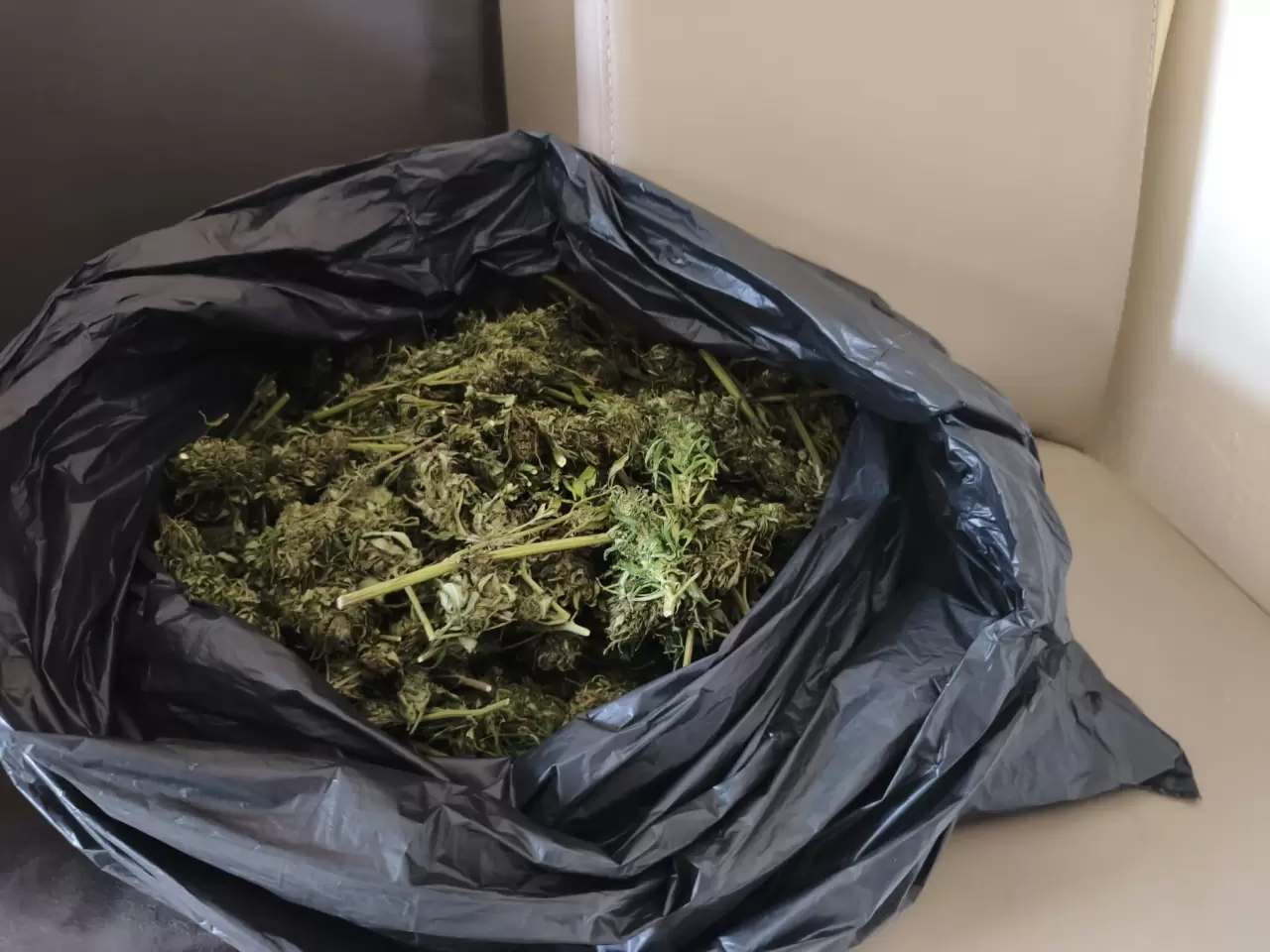 Ünlü yönetmene uyuşturucudan gözaltı 7