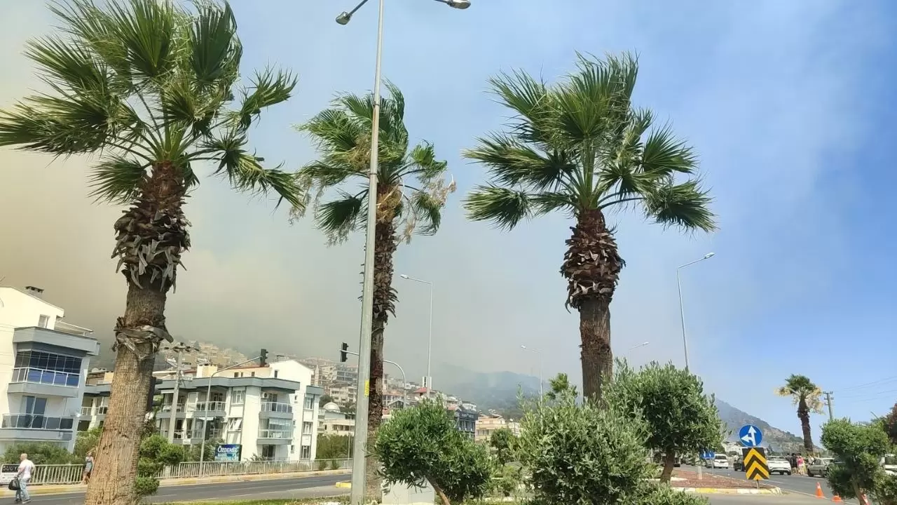 Altınoluk'ta evler boşaltılıyor, alevler yerleşim yerlerine ulaştı 6