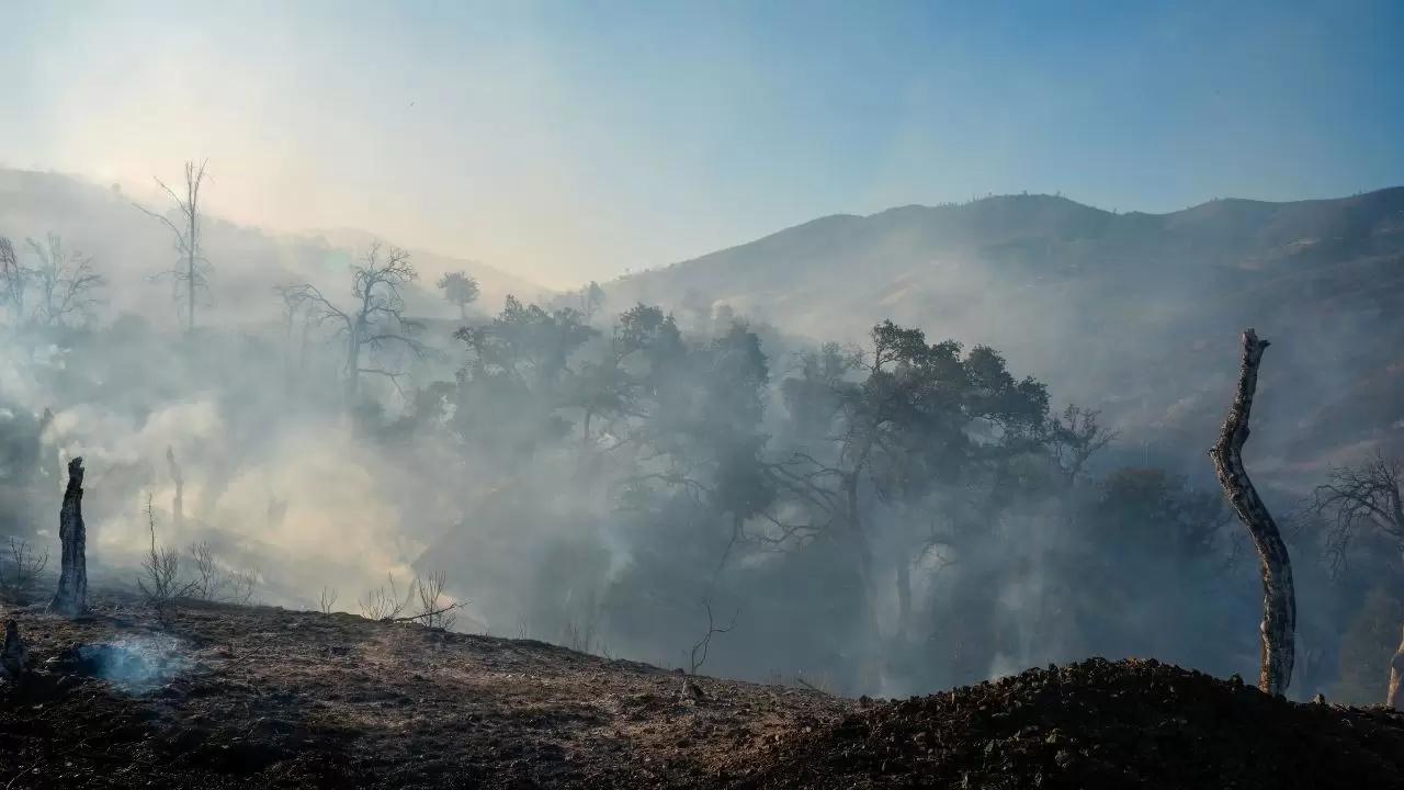 California'da 'Mines Fire' alarmı! 12