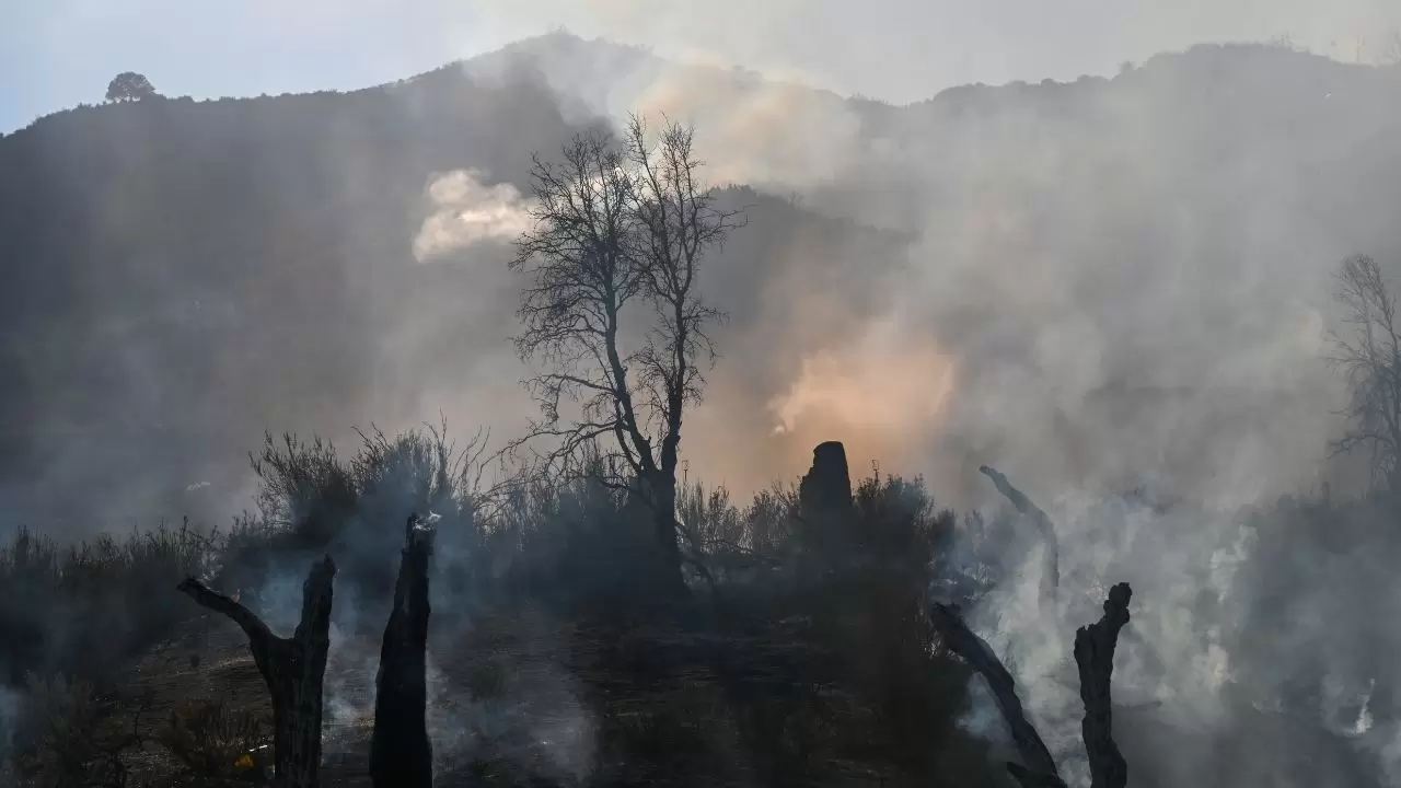 California'da 'Mines Fire' alarmı! 15