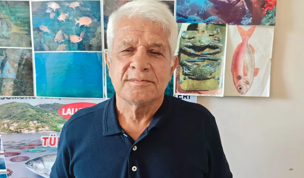 Antalya falezlerinde korkutan manzara: Onlarca ölü vatoz balığı kıyıya vurdu! 6