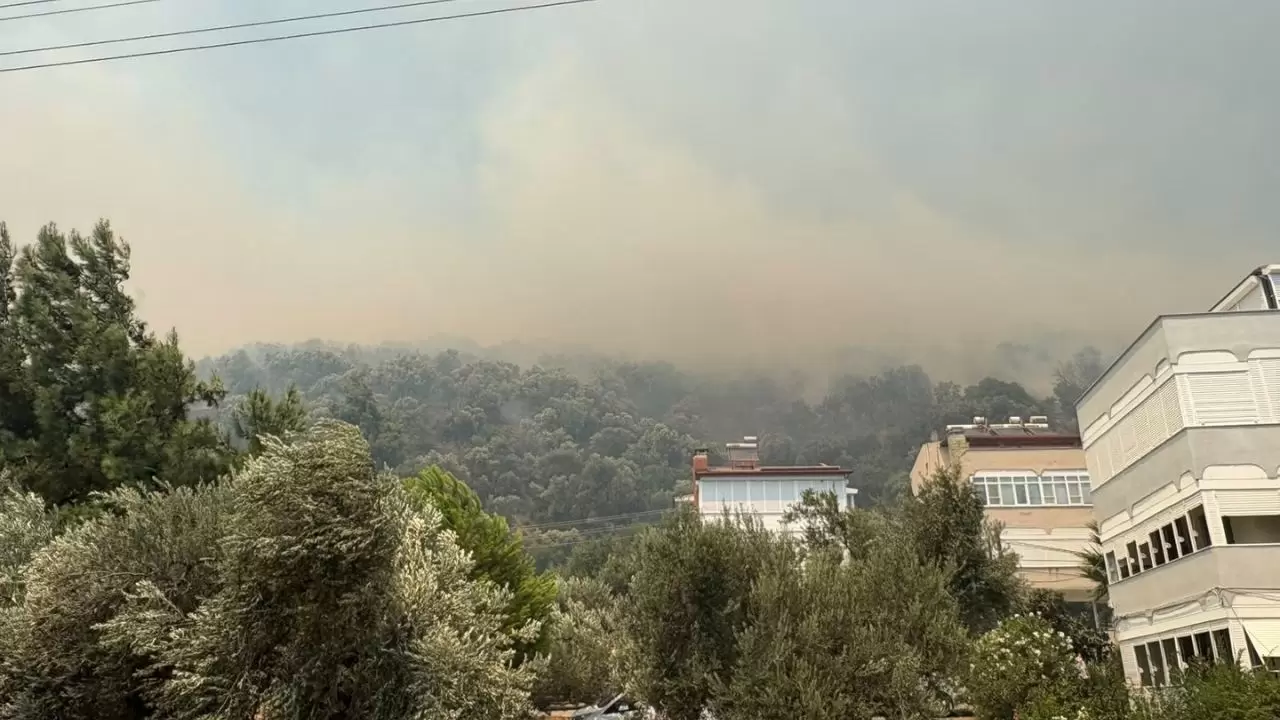 Altınoluk'ta evler boşaltılıyor, alevler yerleşim yerlerine ulaştı 3