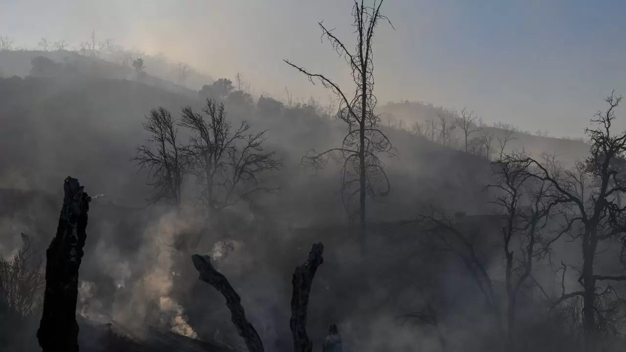 California'da 'Mines Fire' alarmı! 18