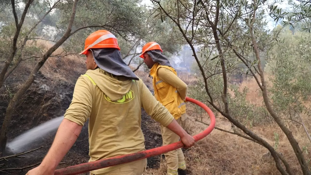 Fethiye'deki orman yangınında kahramanca mücadele! Türkiye'nin dört bir yanından gelen ekipler alevlere karşı seferber oldu 3