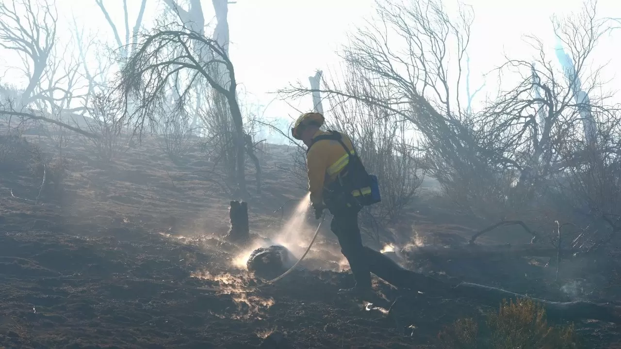 California'da 'Mines Fire' alarmı! 7
