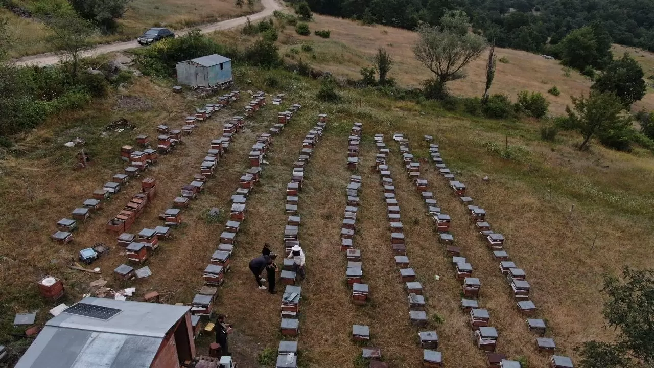 Tokat'ta 56 yıllık arıcı teknolojiye ayak uydurdu 4
