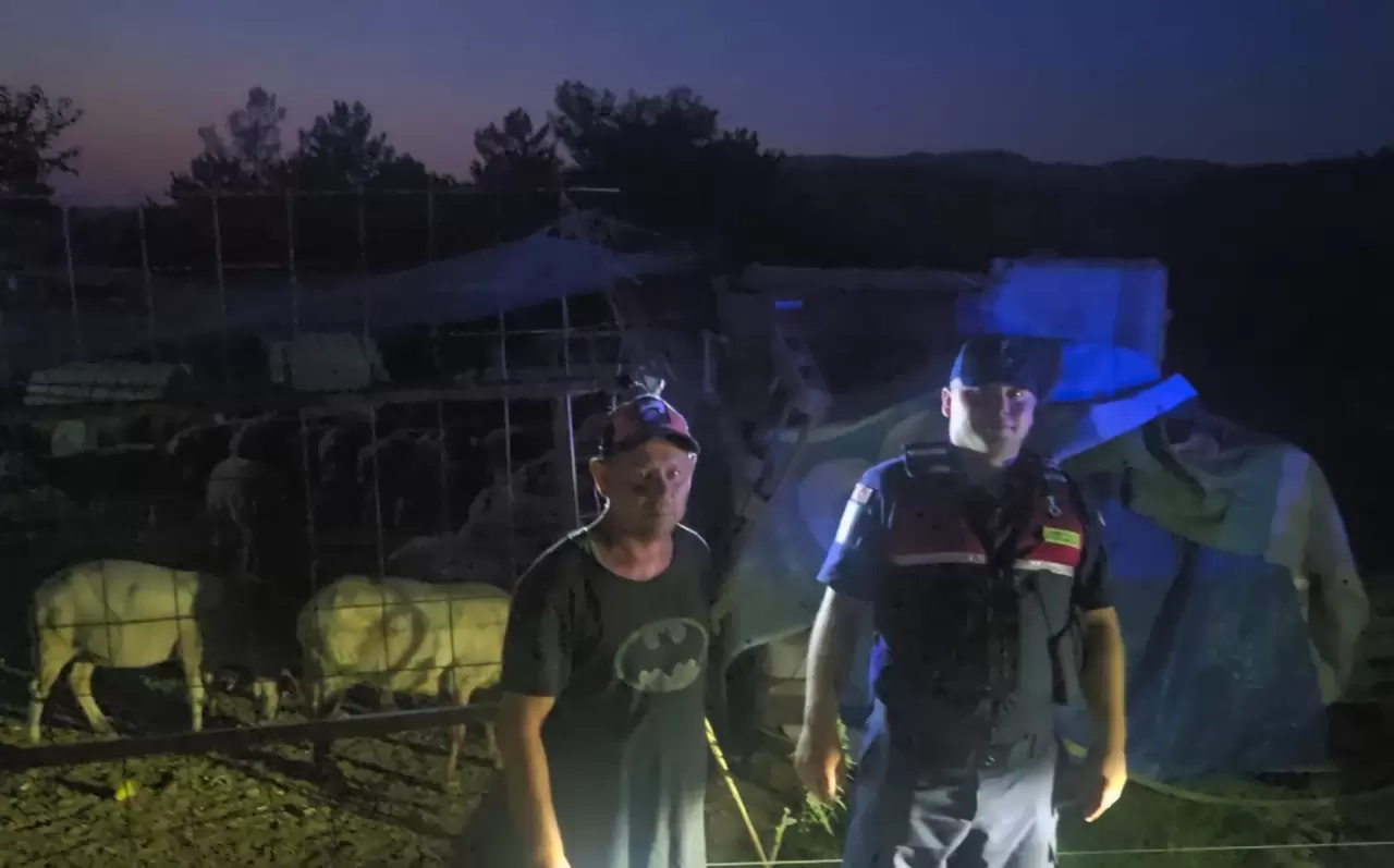 Bursa’da kaybolan 50 küçükbaş hayvan jandarmanın dronuyla bulundu 3