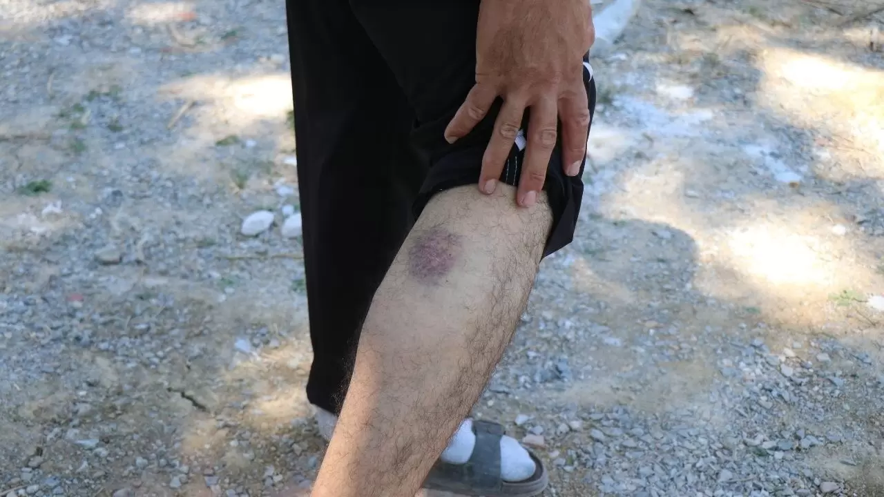 Sakarya'da Gulyabani'yi aratmayan olay! 6