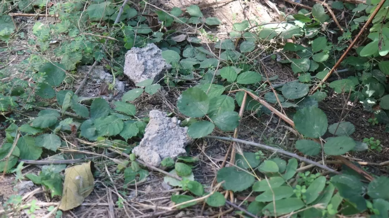 Sakarya'da Gulyabani'yi aratmayan olay! 5