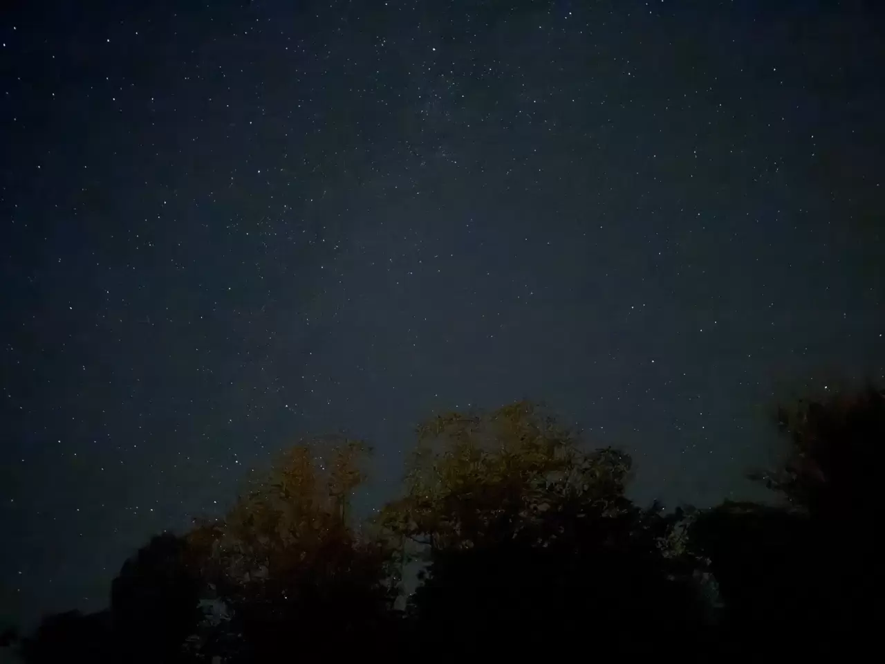 Düzce semalarında Perseid şöleni 13