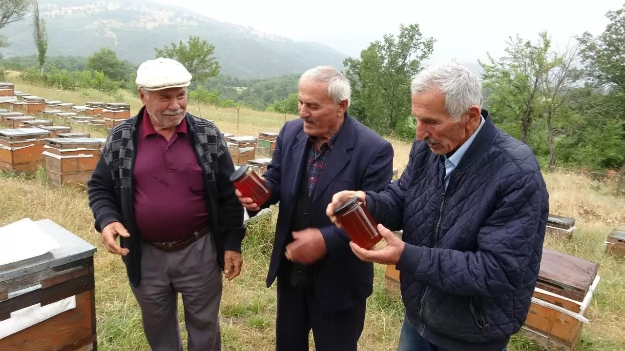 Tokat'ta 56 yıllık arıcı teknolojiye ayak uydurdu 7