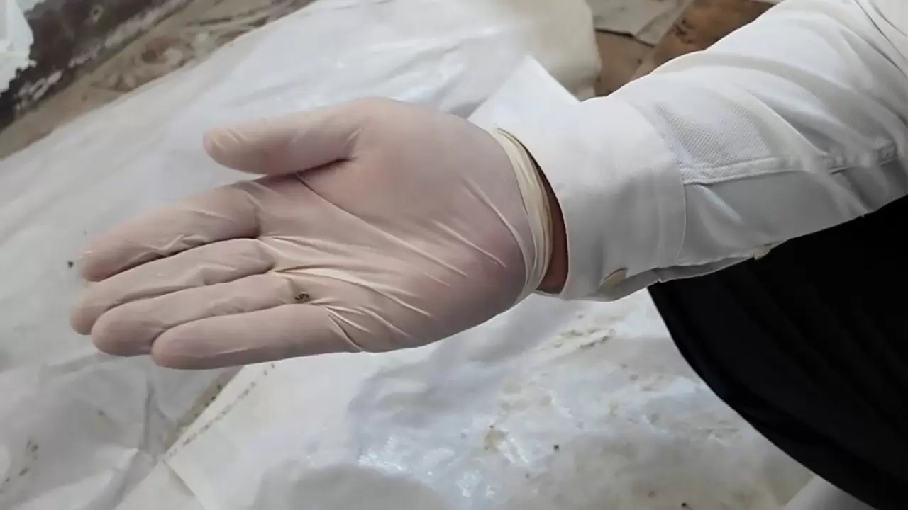 Hatay’da fırında mide bulandıran görüntü! 7