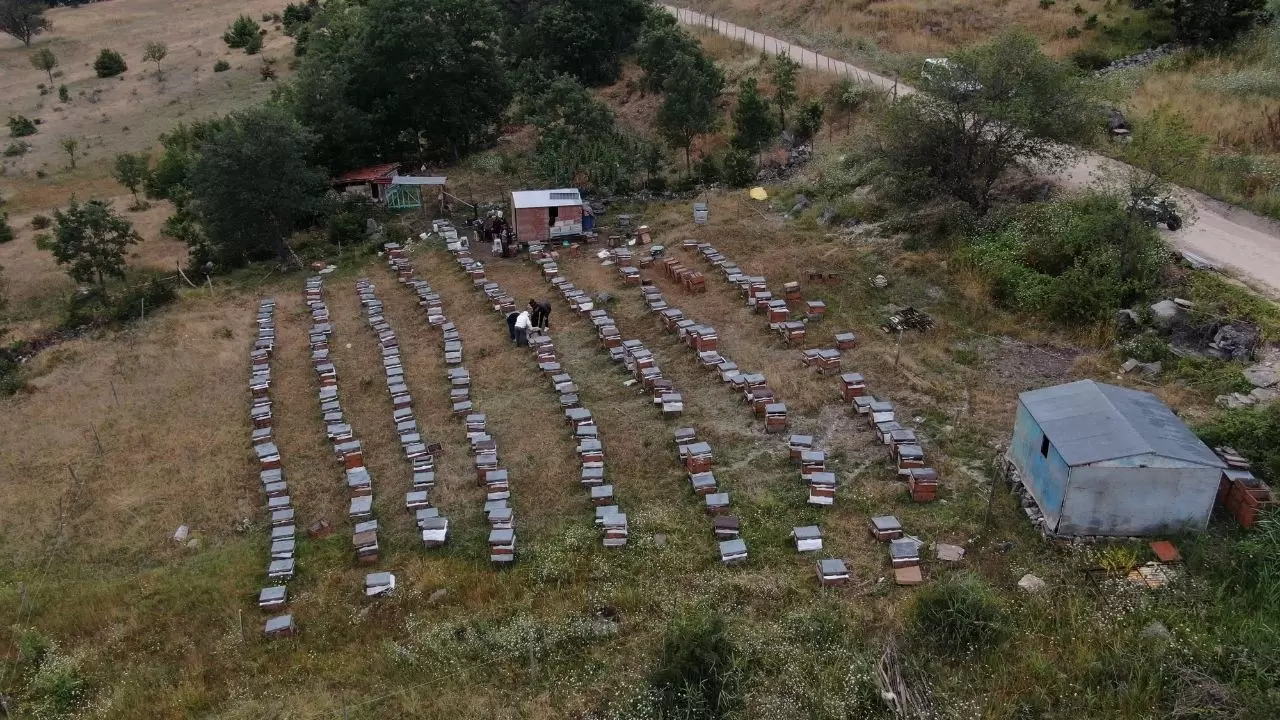 Tokat'ta 56 yıllık arıcı teknolojiye ayak uydurdu 1