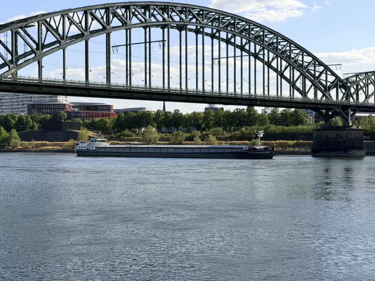 Almanya'da sıcak hava Ren Nehri'ni vurdu 2