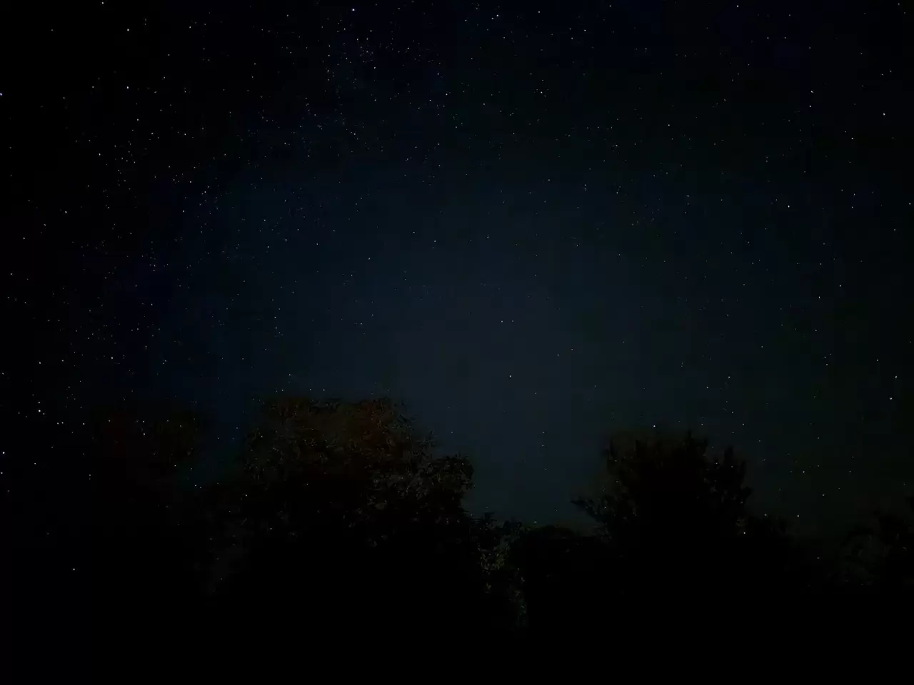 Düzce semalarında Perseid şöleni 12