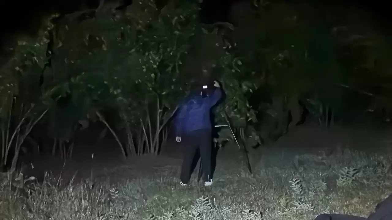 Düzce semalarında Perseid şöleni 5