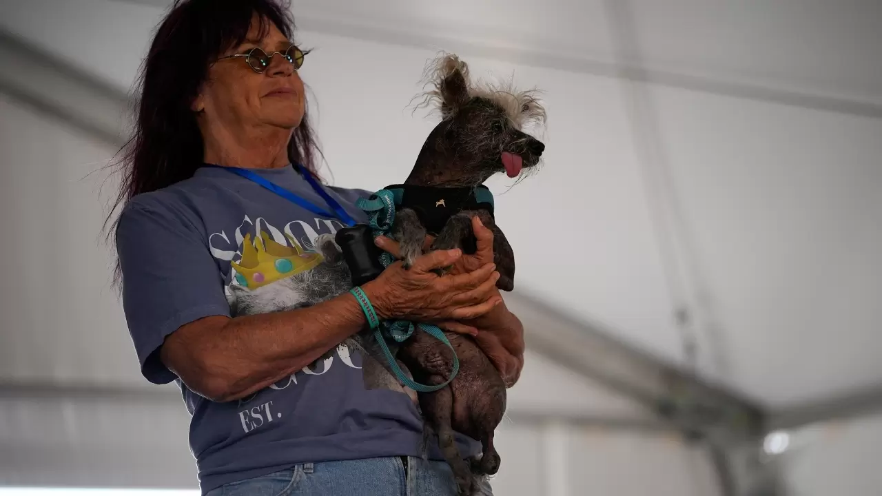 Dünyanın en çirkin köpeği seçildi 6