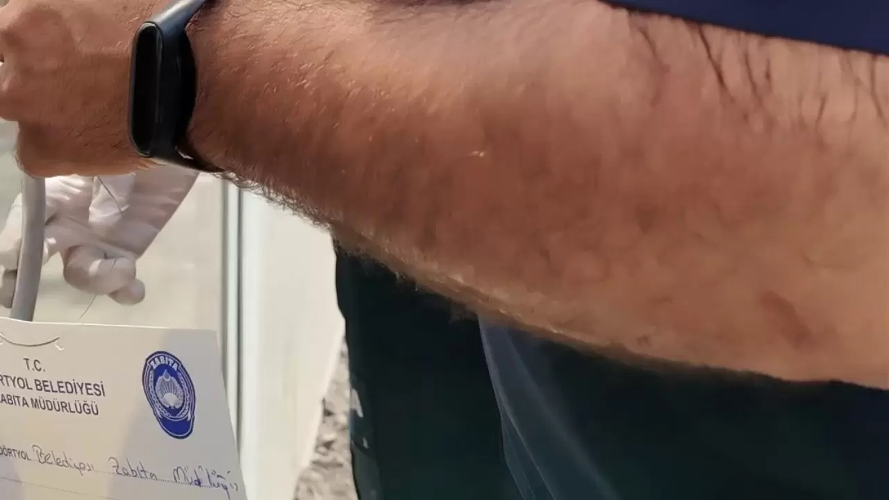 Hatay’da fırında mide bulandıran görüntü! 6