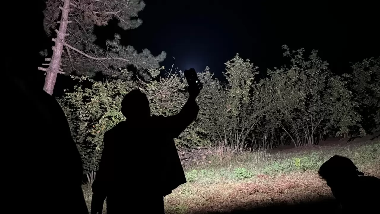 Düzce semalarında Perseid şöleni 17